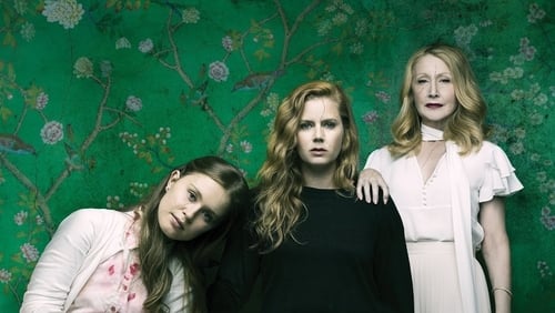 Sharp Objects 1.Sezon 4.Bölüm izle