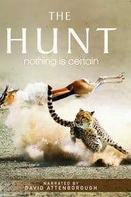 The Hunt izle