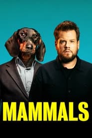 Memeliler Türkçe Dublaj izle