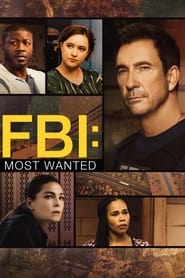 FBI: Most Wanted Türkçe Dublaj izle