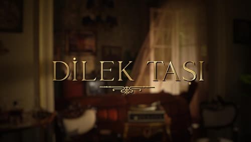 Dilek Taşı 9.Bölüm izle