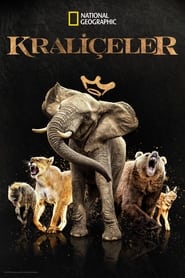 Kraliçeler izle