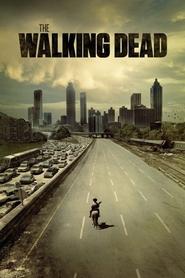 The Walking Dead Türkçe Dublaj izle